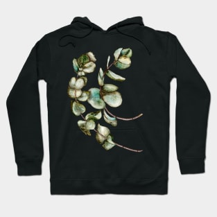 Dry eucalyptus Hoodie